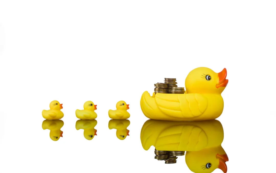 Maintaining financial control by getting your ducks in a row