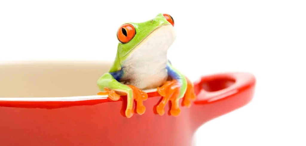 Frog in Boiling Water - Relation to Retirement Spending