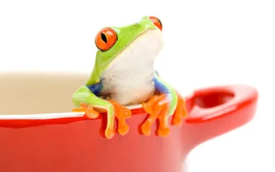 Are you a frog in boiling water? Overspending, but unsure why?